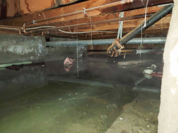 Best Ceiling water damage repair  in Berlin, OH