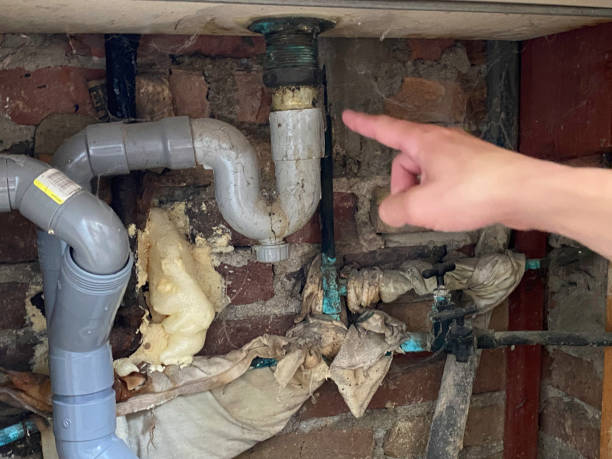 Best Water damage restoration insurance claims  in Berlin, OH