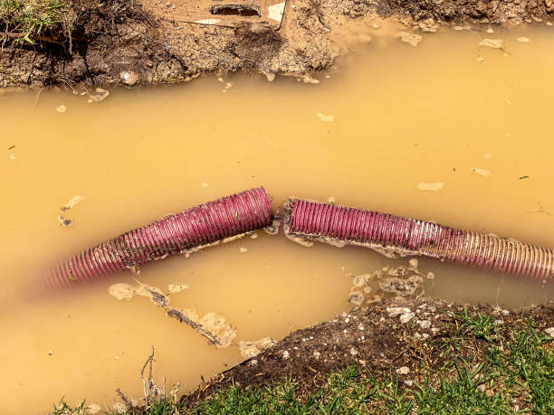  Berlin, OH Water damage restoration Pros